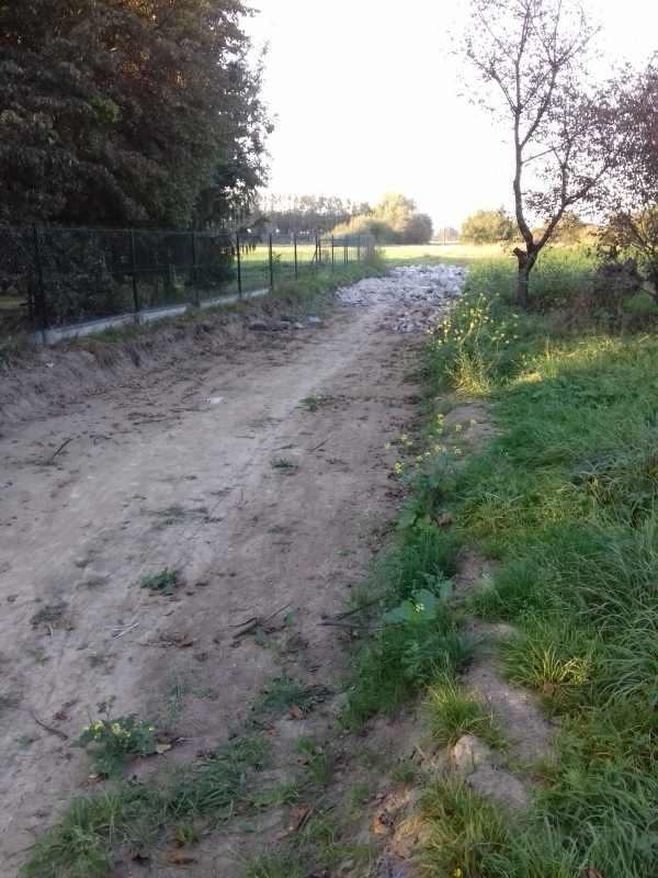 Zdjęcie do wpisu: Przygotowania do budowy